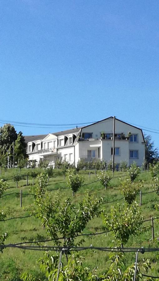 Gîte Près De La Ferme Pfastatt Extérieur photo